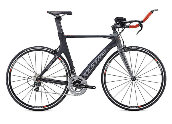 Vestibulum dignissim posuere