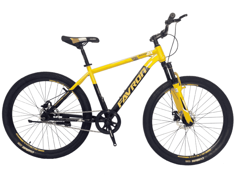 DESTINY DX 29ER WITH OPTION MLO SUSPENSION