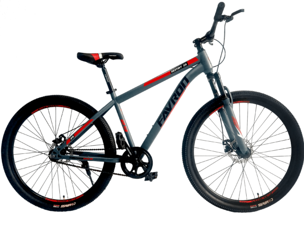 DESTINY DX 29ER