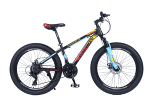 FAMOUS DX 3.0 24 HI-TEN STEEL 21 SPEED