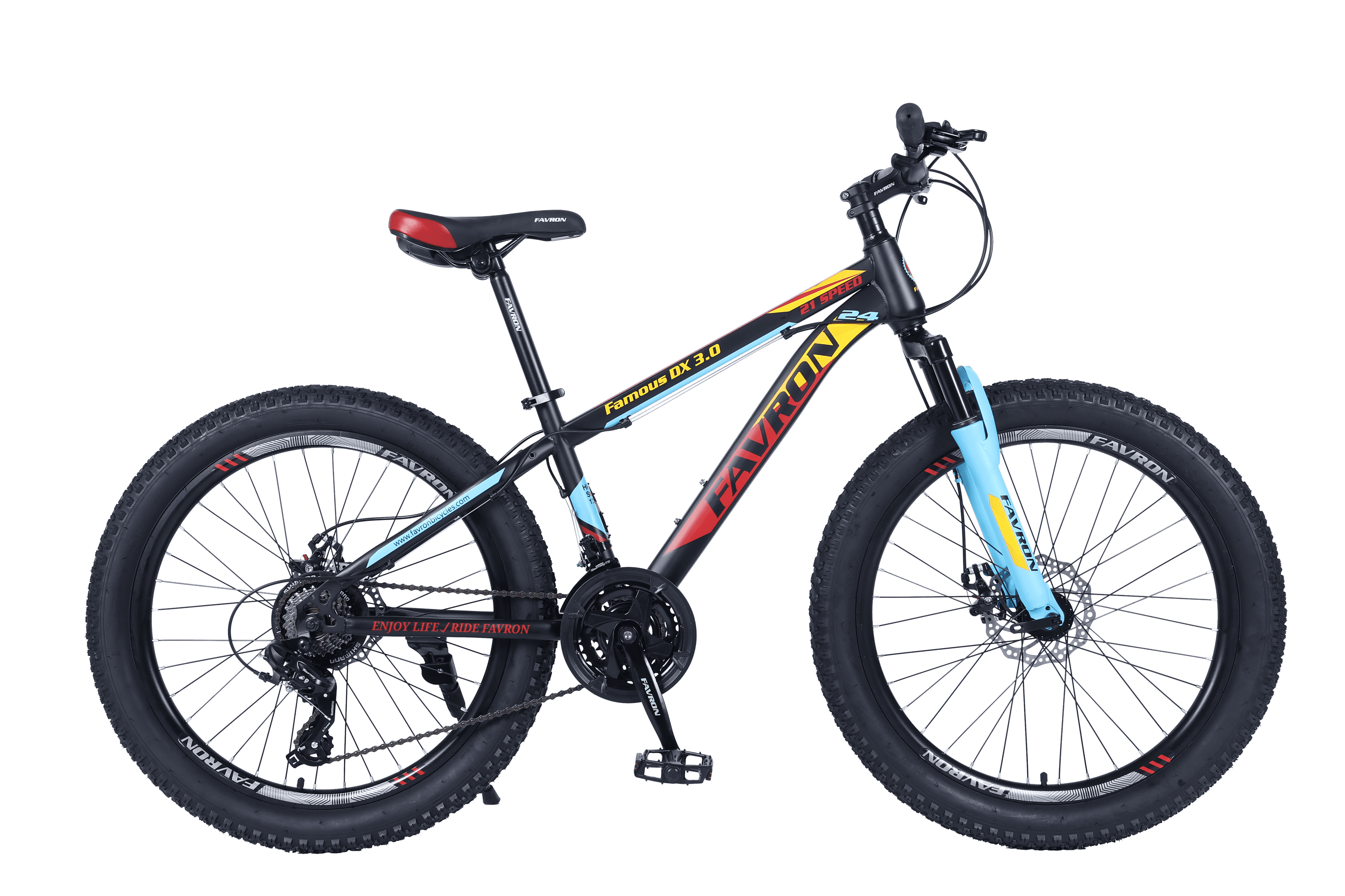 FAMOUS DX 3.0 24 HI-TEN STEEL 21 SPEED