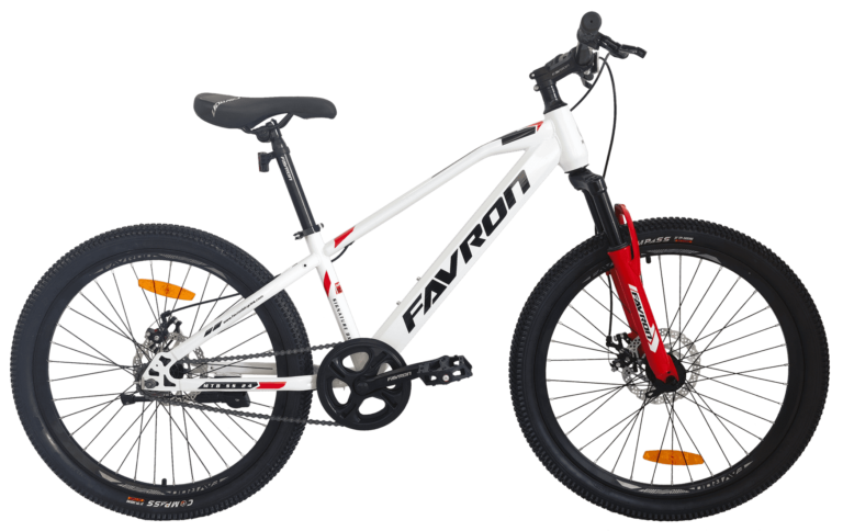 SIGNATURE DX 24 (2023)