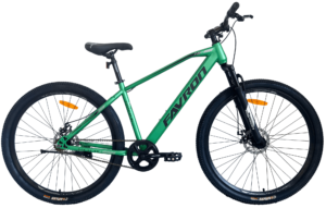 SIGNATURE DX 29 (2023)