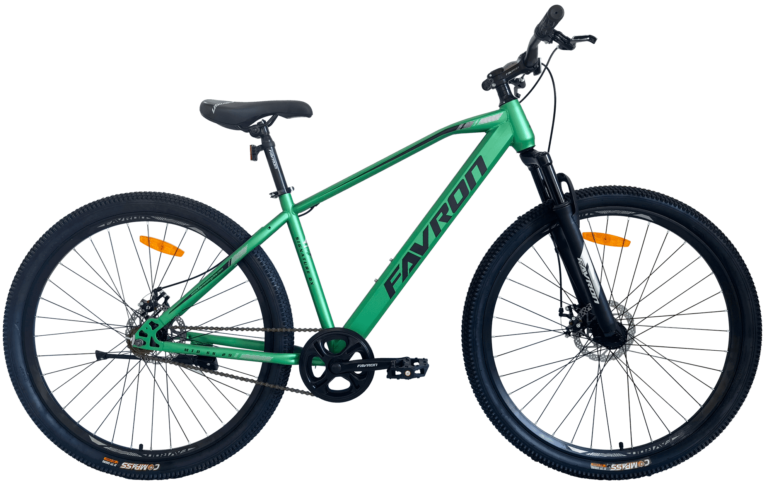 SIGNATURE DX 29 (2023)