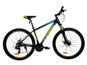 MOUNTAIN DX 2.0 29ER ALLOY 24 SPEED